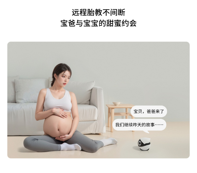 Pet Monitor Feature Image 14