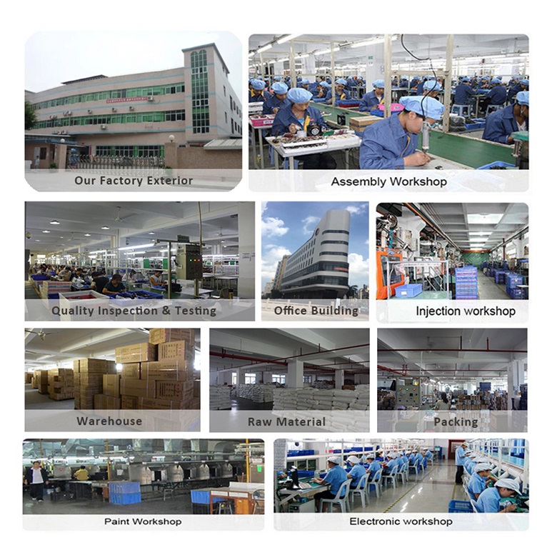 Company Showcase 2