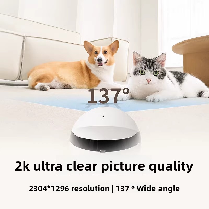 Mini Pet Monitor Companion Robot for Sports &amp; Entertainment