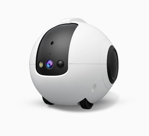 Smart WiFi Robot Teaser Companion