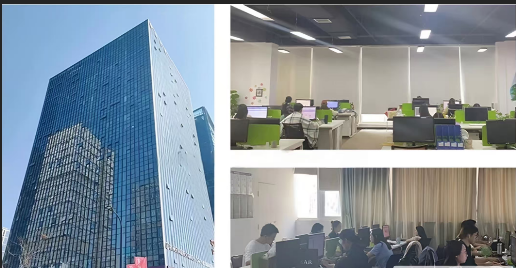 Our Services Overview 2