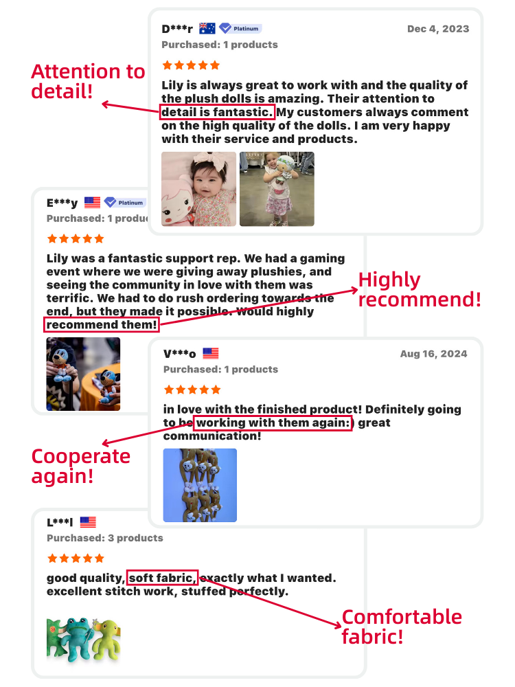 Customer Review 2