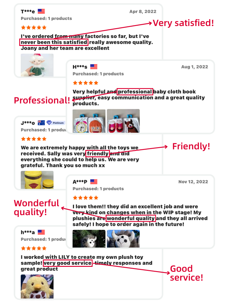 Customer Review 1