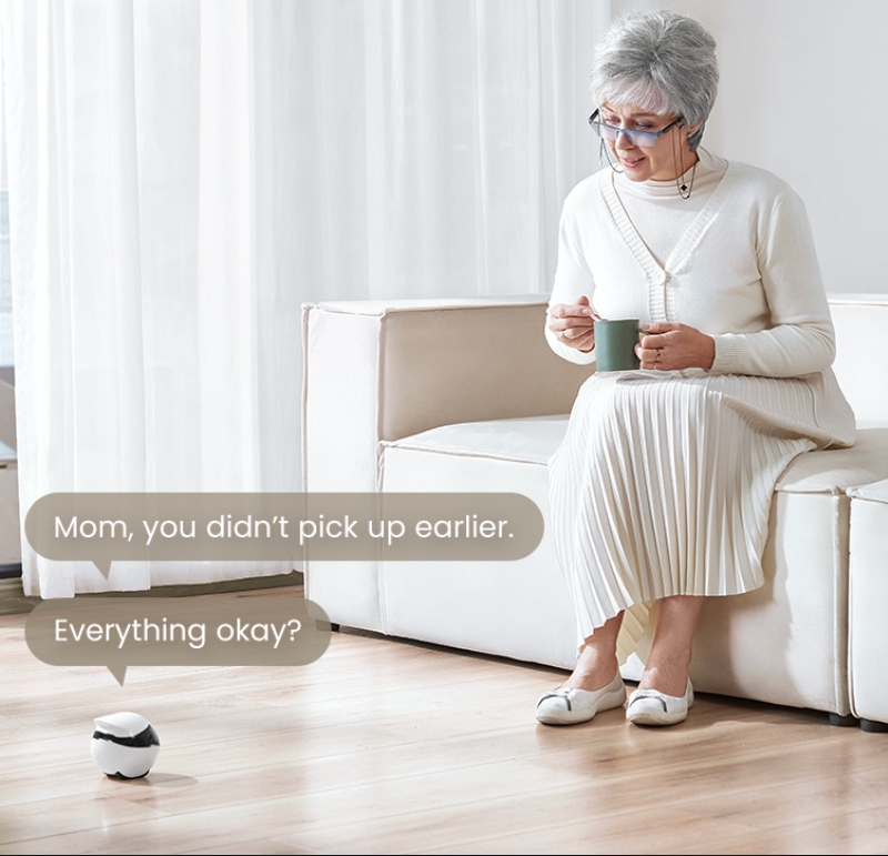 Pet Monitoring Robot Feature 7