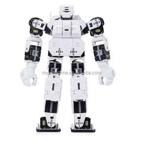 Educational AI Vision Humanoid Biped Robot Toy