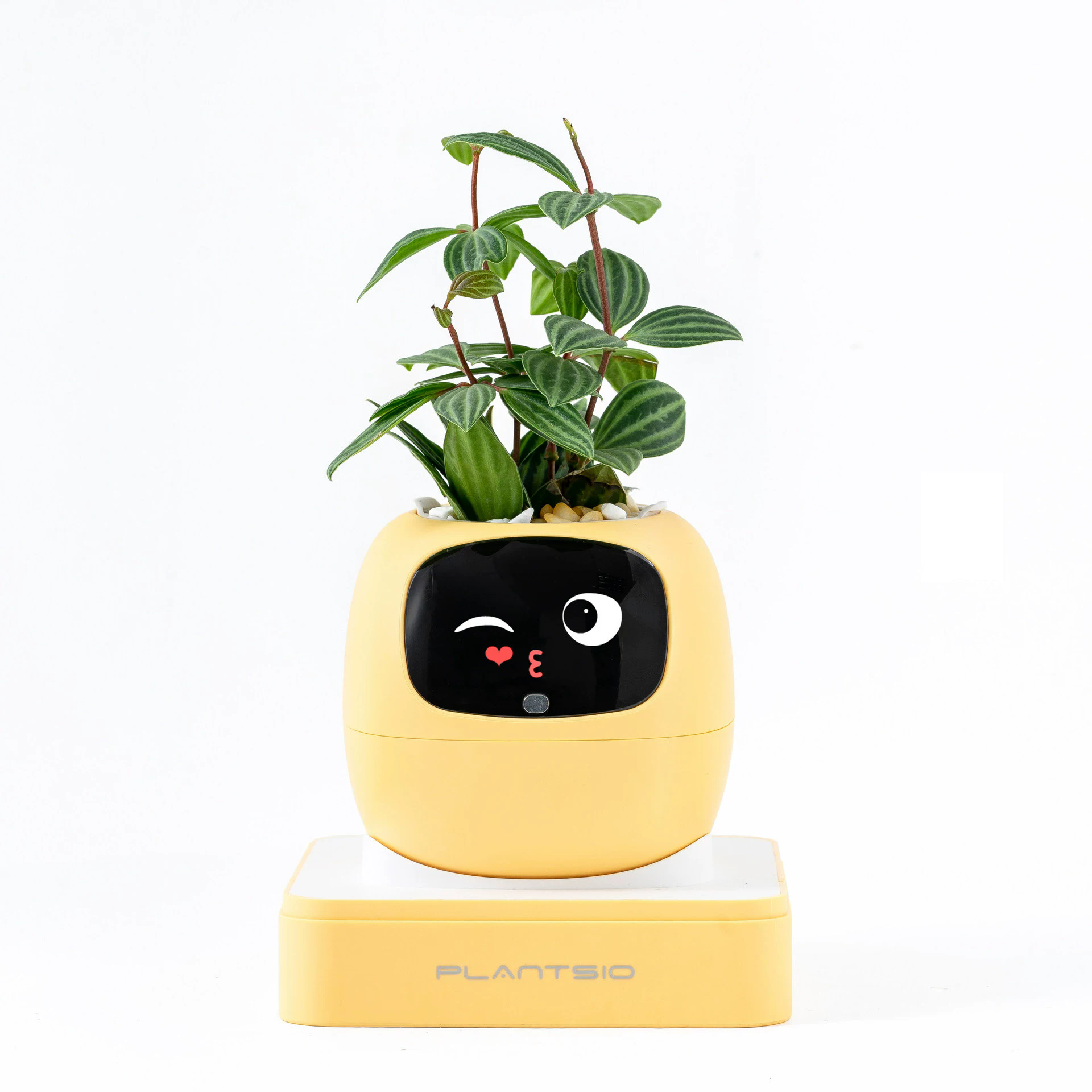 Smart Modern Pet Planter Robot With Sensor Self Watering Hydroponic USB Rechargeable Facial Interaction For Home Office