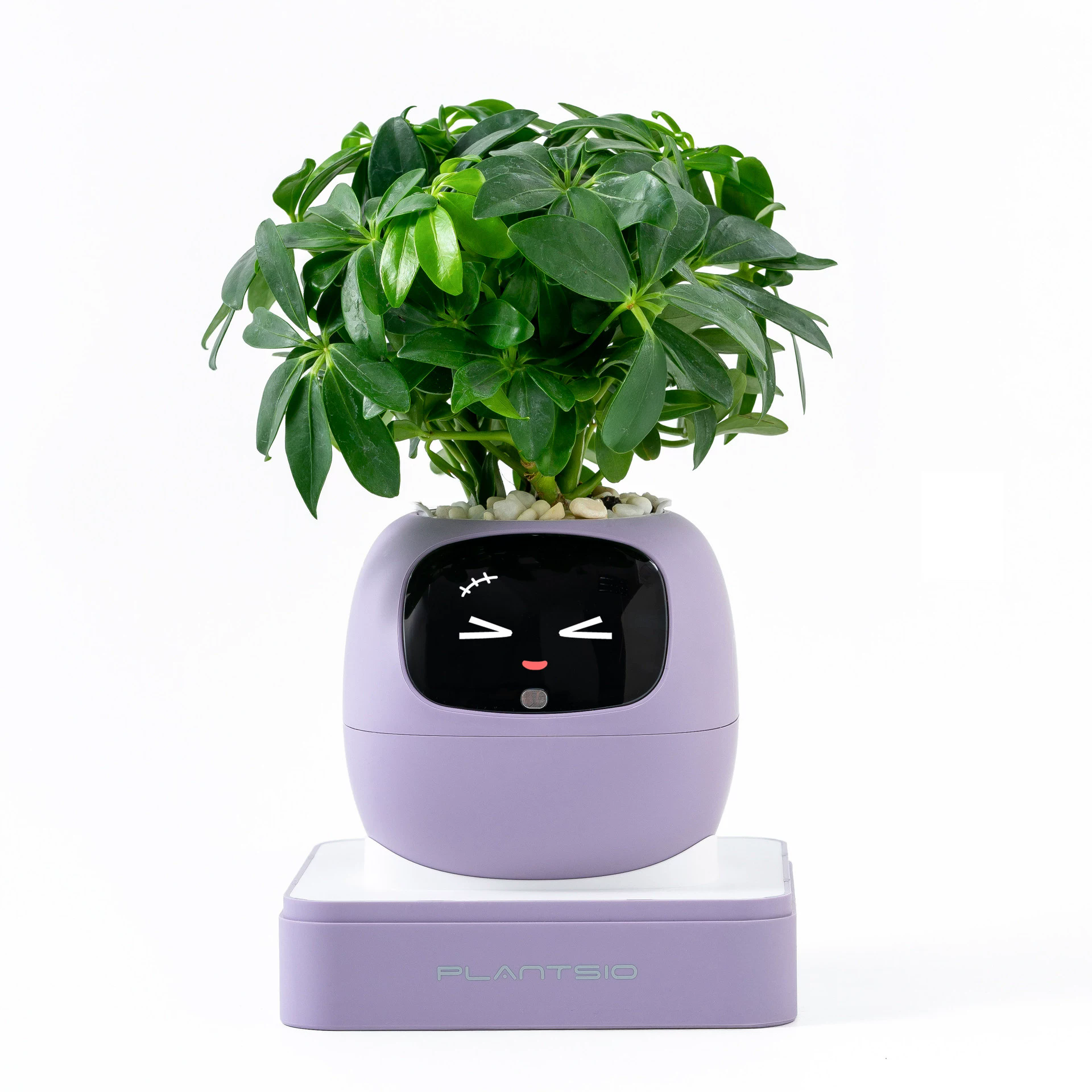 Smart Modern Pet Planter Robot With Sensor Self Watering Hydroponic USB Rechargeable Facial Interaction For Home Office