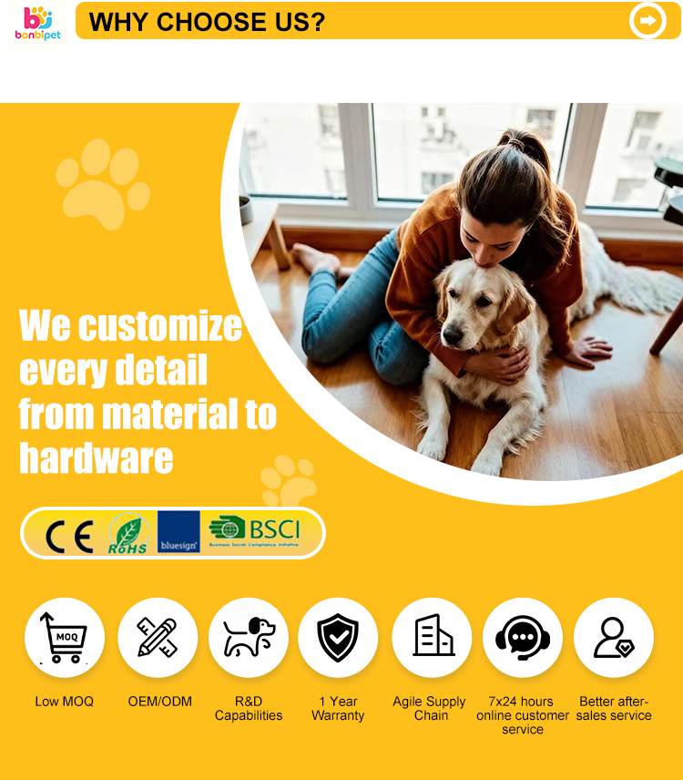 Wholesale Banbipet Bionic Butterfly Interactive Flapping Smart Cat Toy Automatic Rolling Bouncing Kitten Toy Adjustable Rope