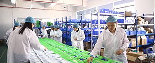 Production Facility 1